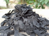 Activated Carbon